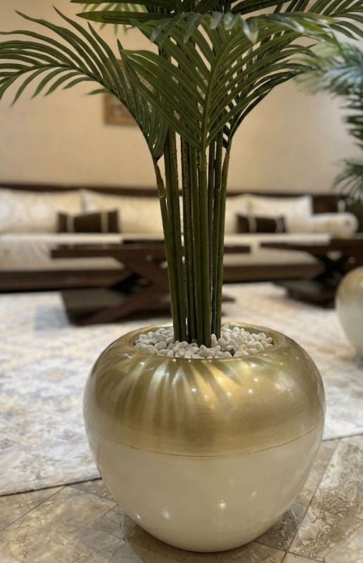petit boule palmier dore