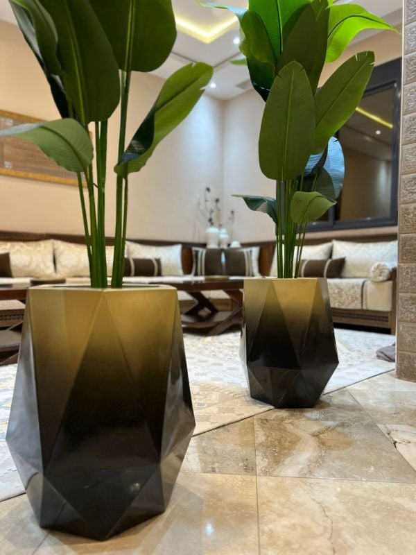 diamond noir dore bananier