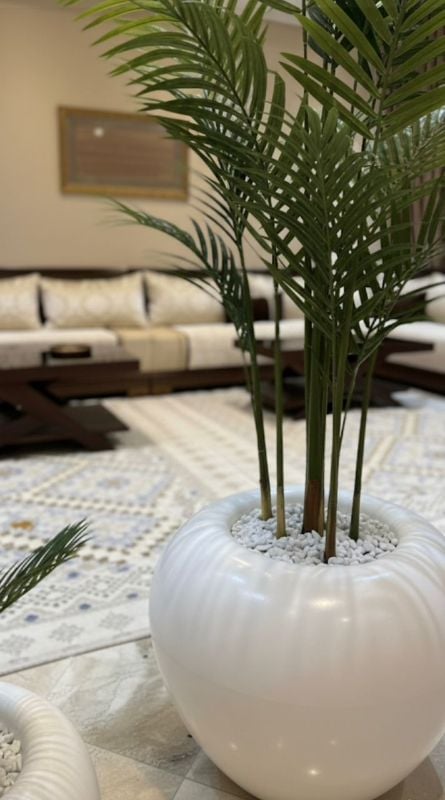 Grande Boule palmier