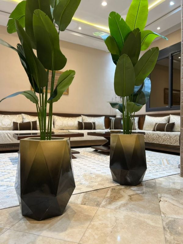 diamond noir dore bananier