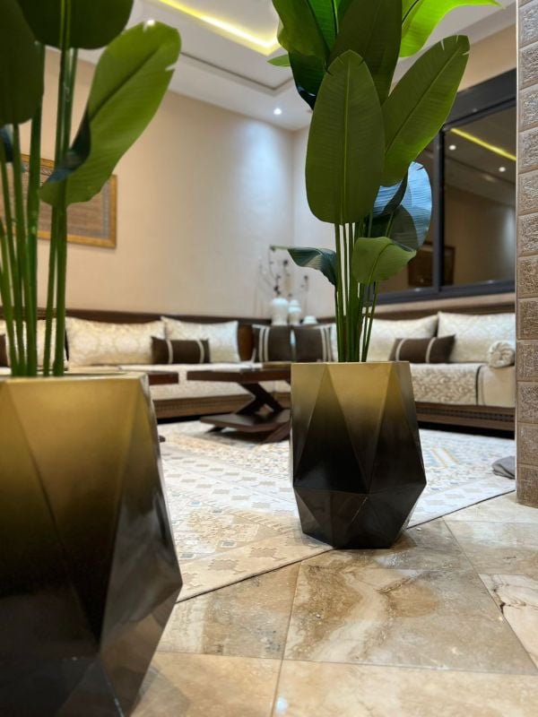 diamond noir dore bananier