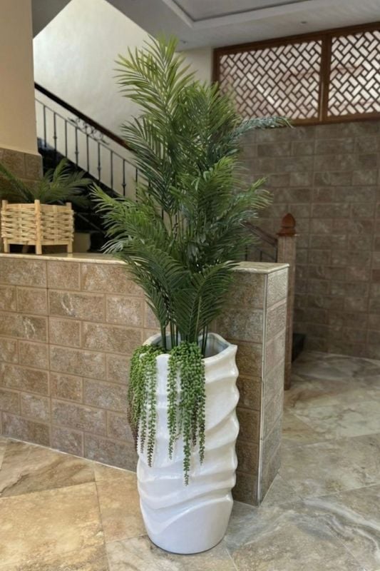 GRANDE VAGUE PALMIER PLUS