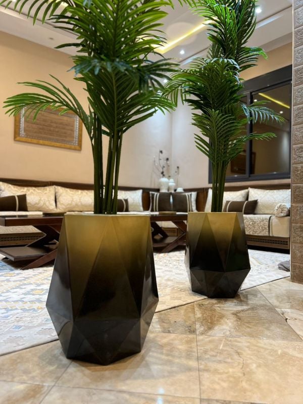 diamond noir dore palmier