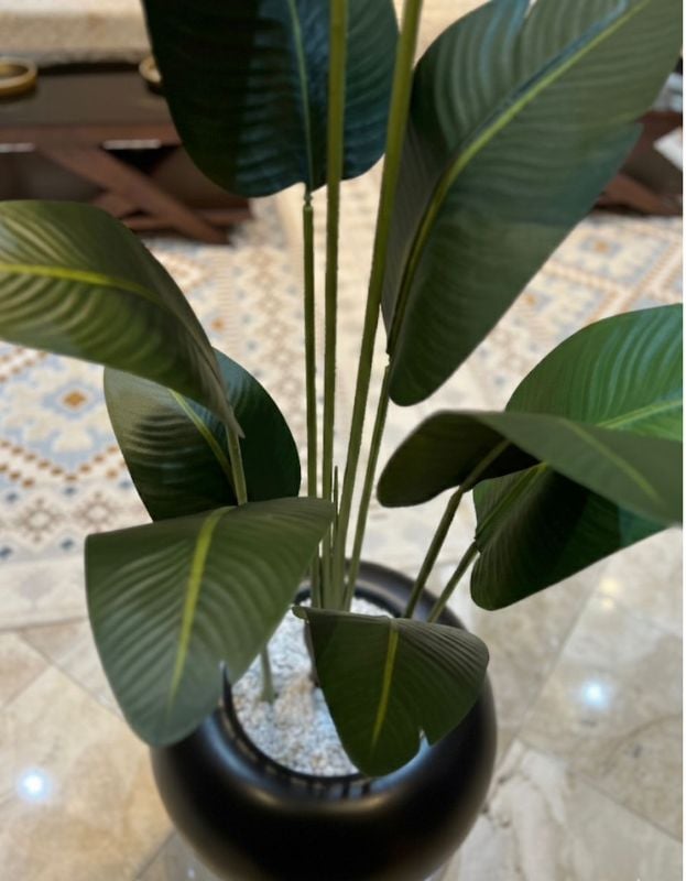 Grande Boule Bananier noir