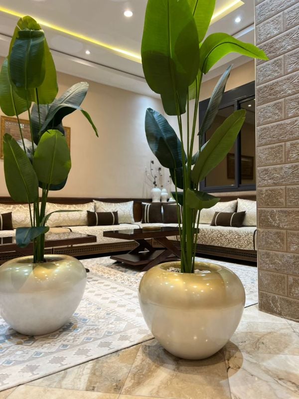 Grande boule bananier