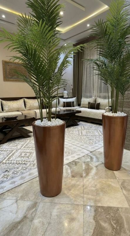 colonaille marron palmier