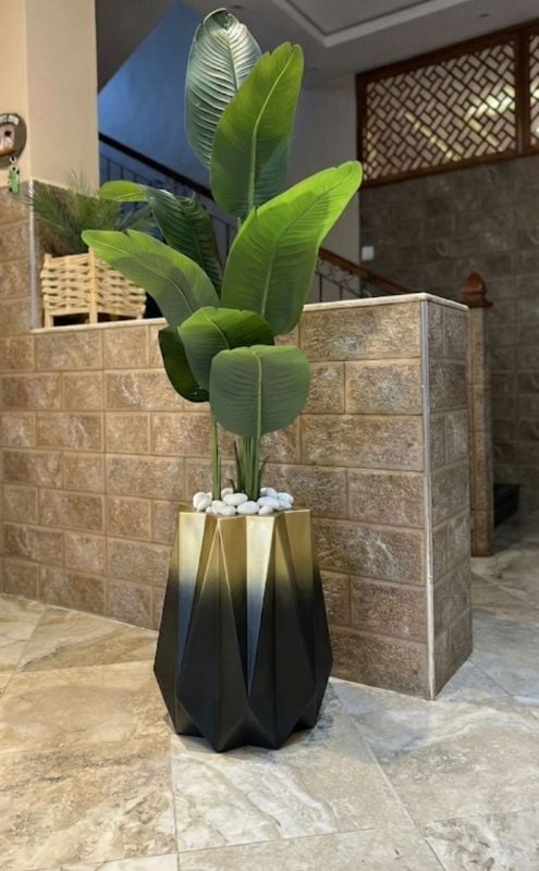 Nedjma banannier noir dore