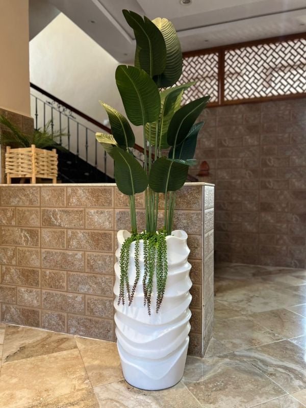 Grande vague bananier