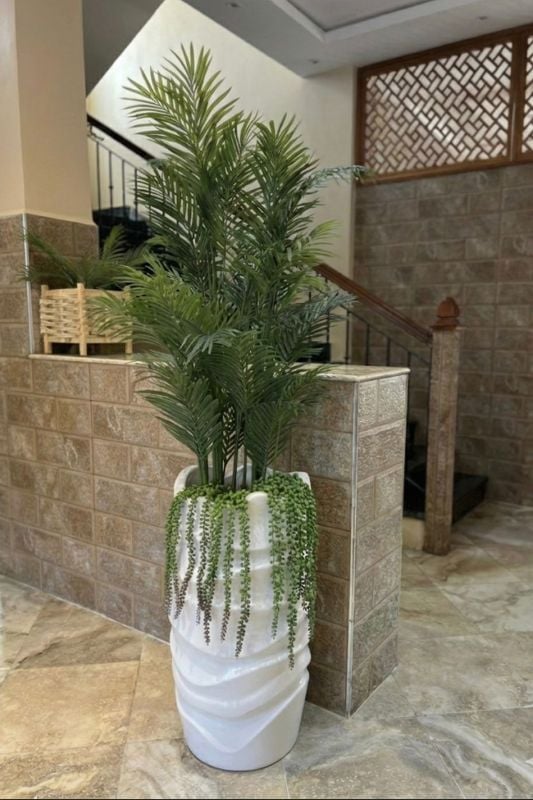 GRANDE VAGUE PALMIER PLUS