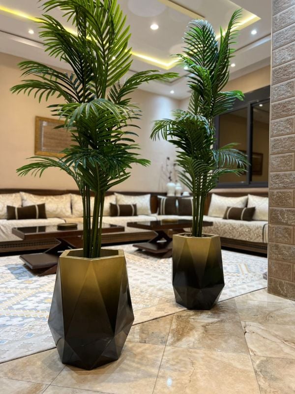 diamond noir dore palmier