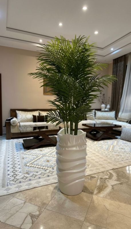 Grande vague palmier