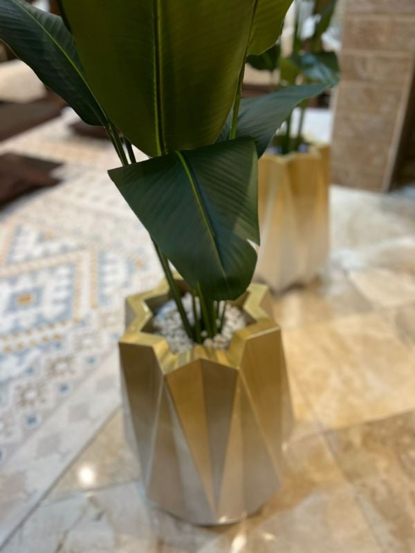 nedjma dore bananier