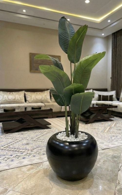 grande boule noir bananier