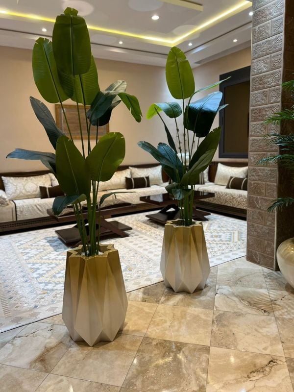 nedjma dore bananier