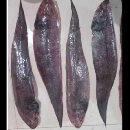 Ikan Lidah