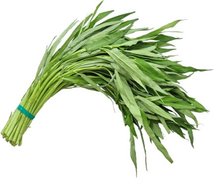 Kangkung
