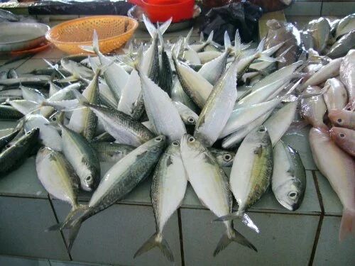 Gembung Kecil