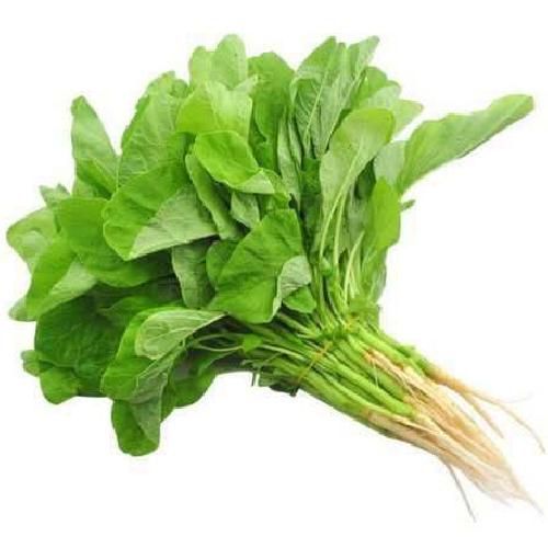 Bayam