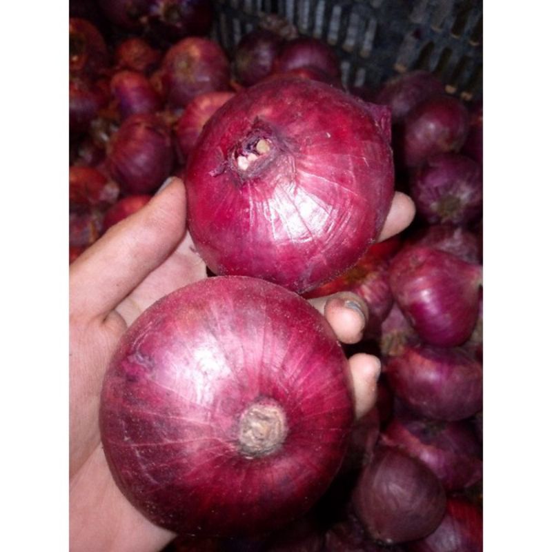 Bawang Peking