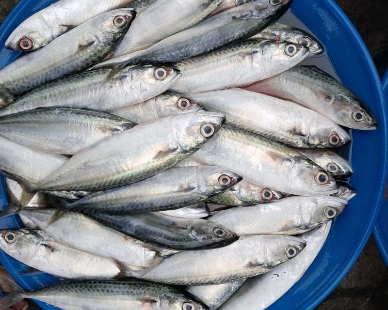 Gembung Kecil