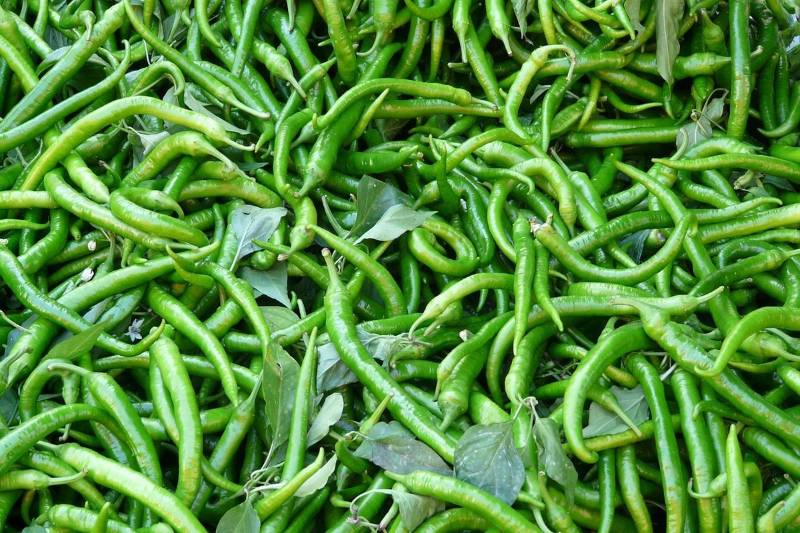 Cabe Hijau
