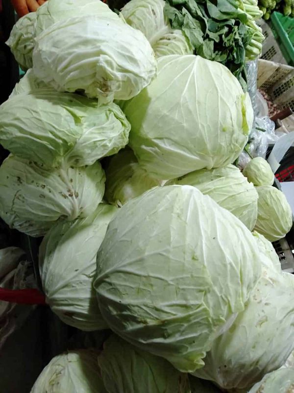 Kol Putih