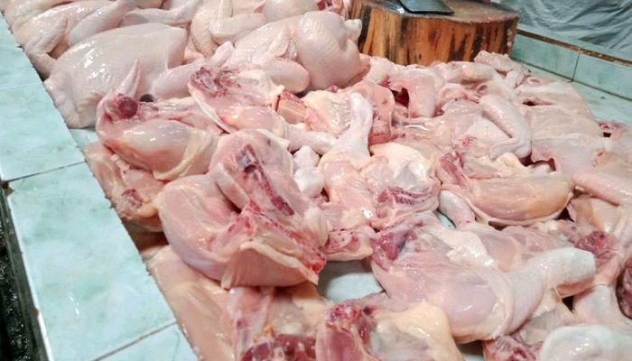 Ayam potong bersih