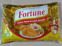 FORTUN 1L
