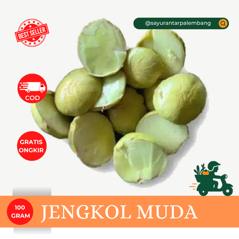 Jengkol Muda