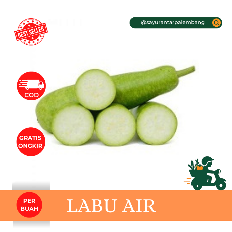 Labu air