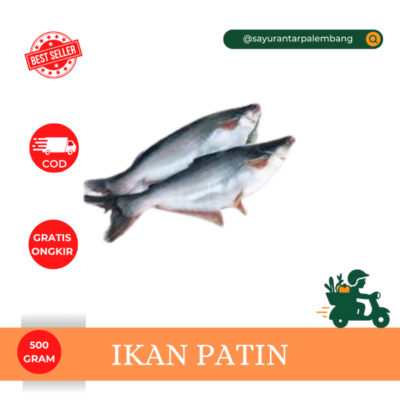 Ikan Patin