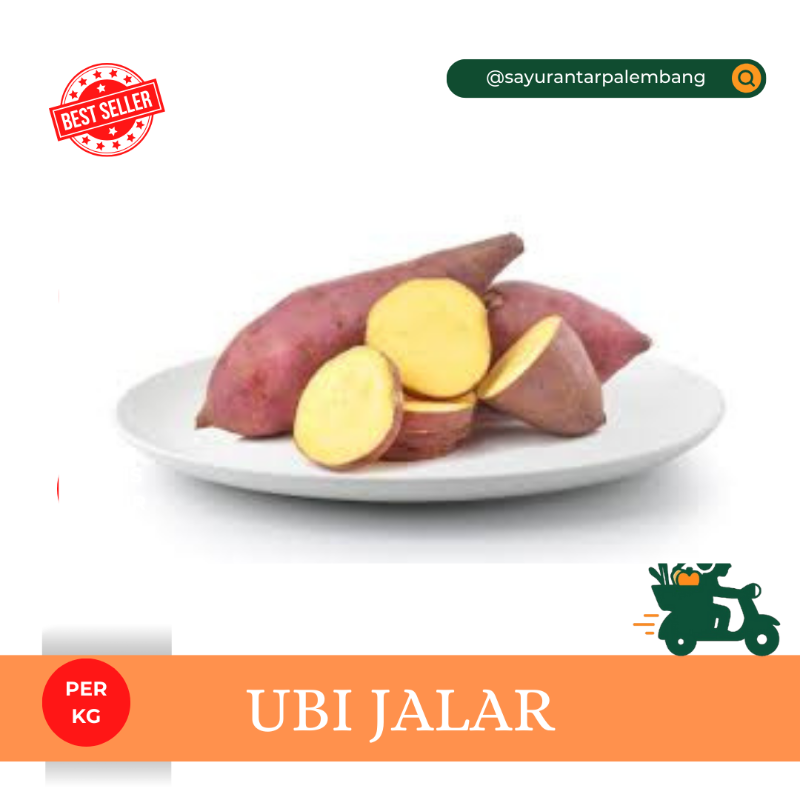 Ubi Jalar Biasa
