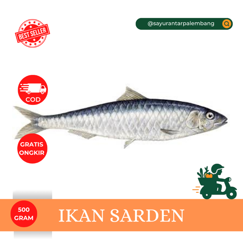 Ikan Sarden