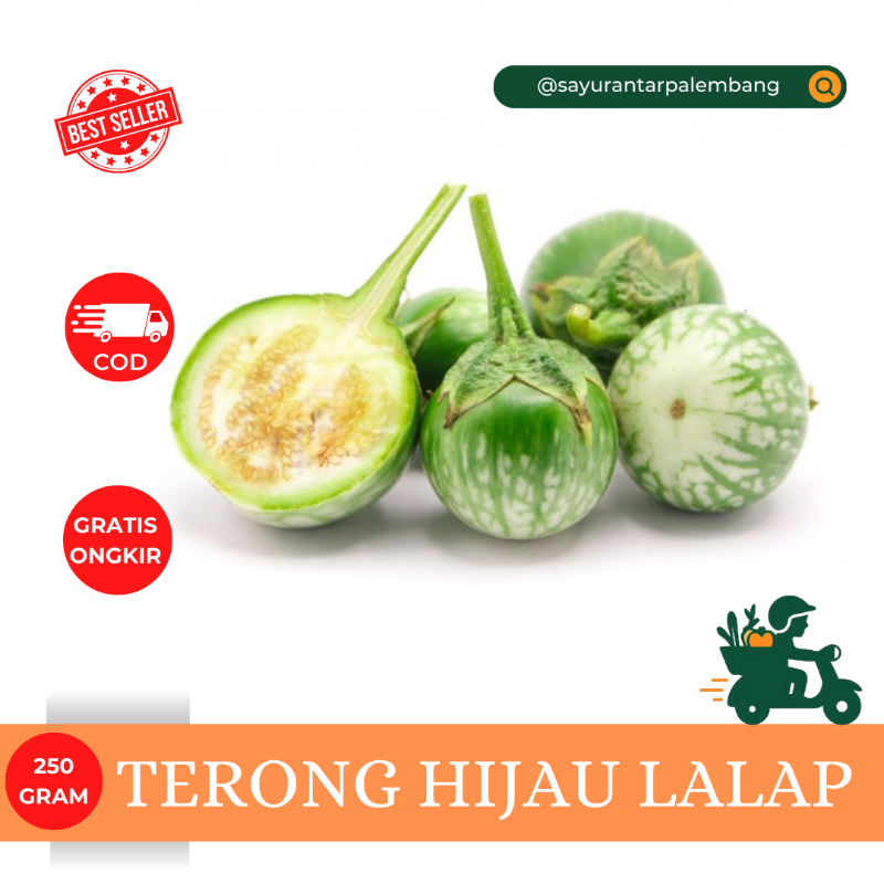 Terong Hijau Lalap