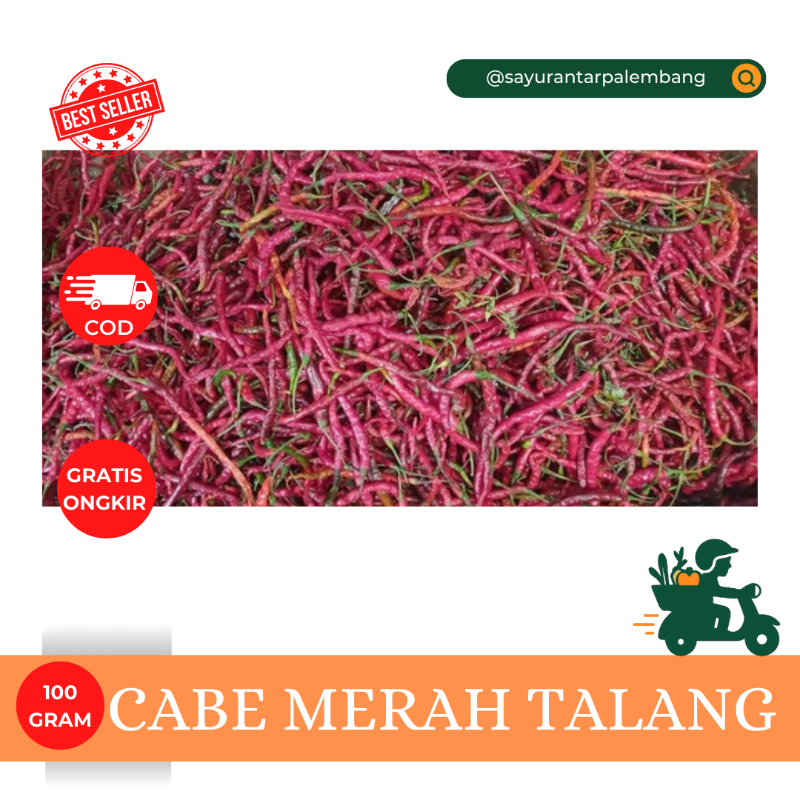 Cabe Merah Talang