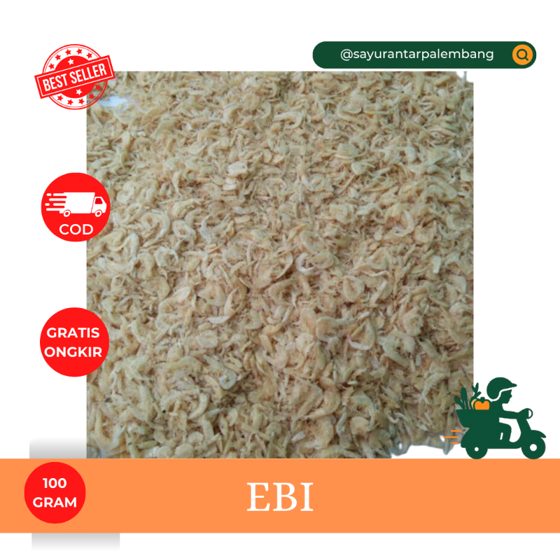 Ebi