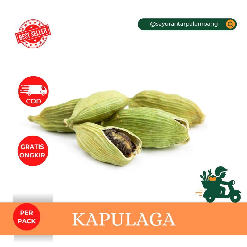Kapulaga