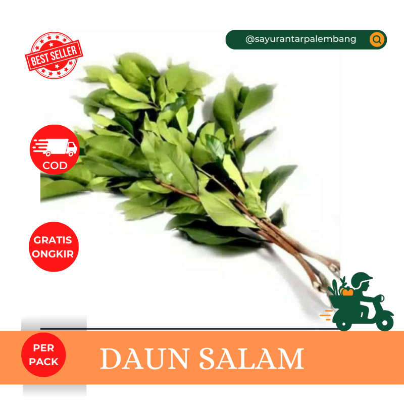 Daun Salam