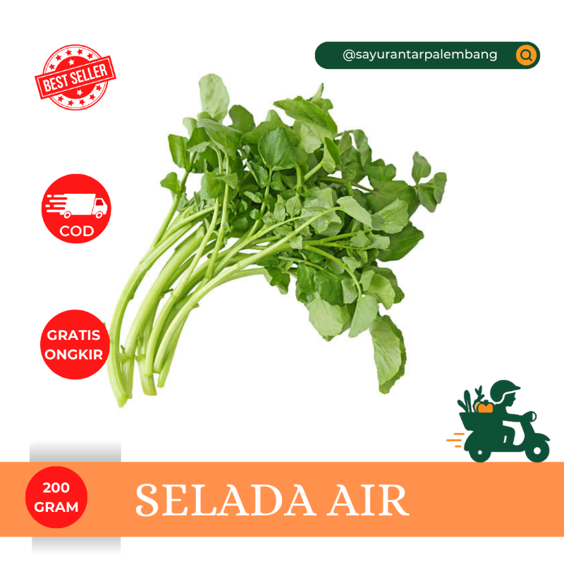 Selada Air