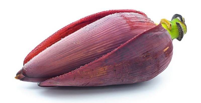 Jantung Pisang