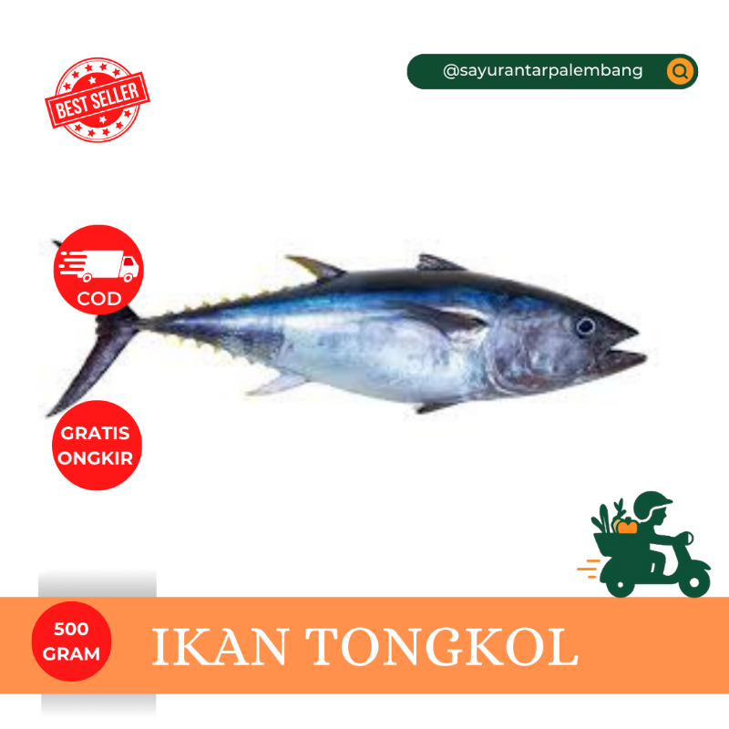 Ikan Tongkol