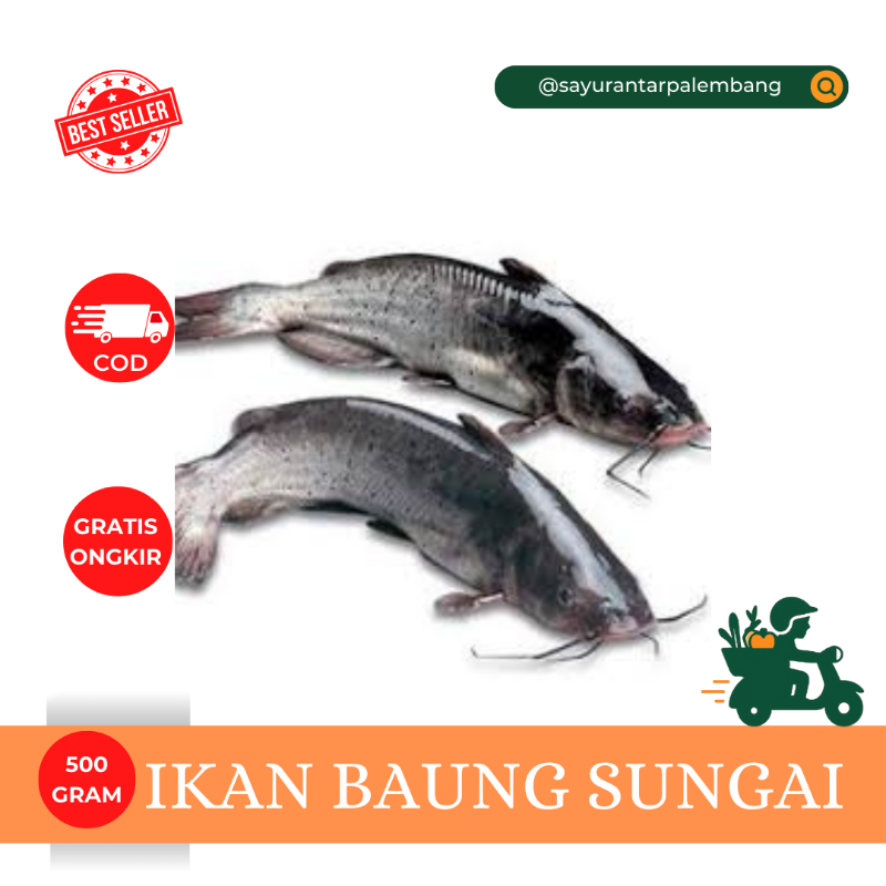 Ikan Baung Sungai