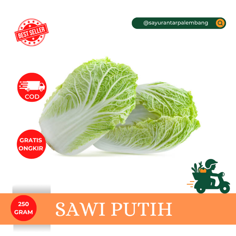 Sawi Putih