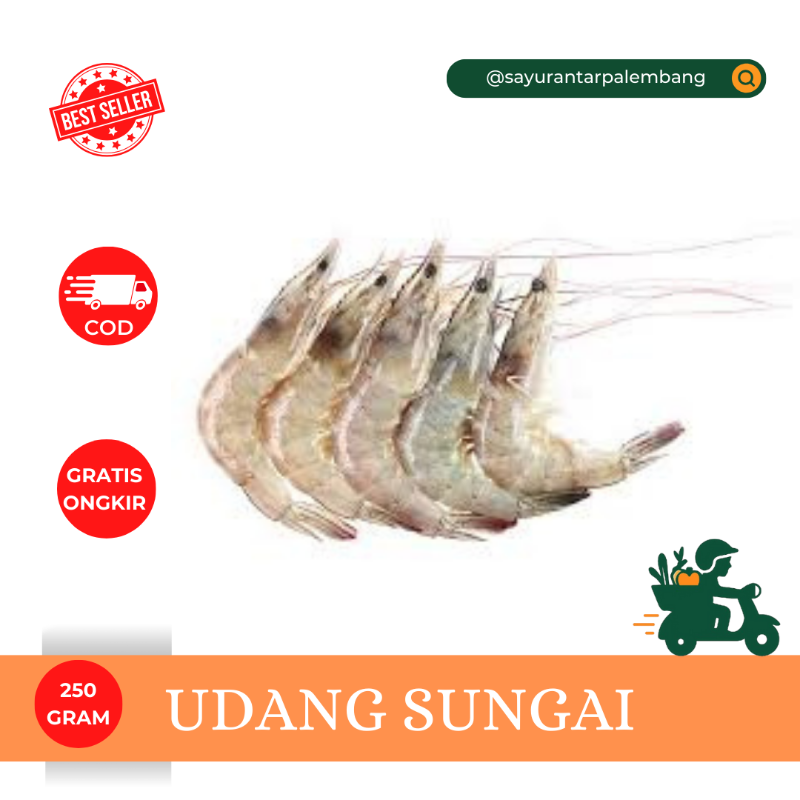 Udang Sungai