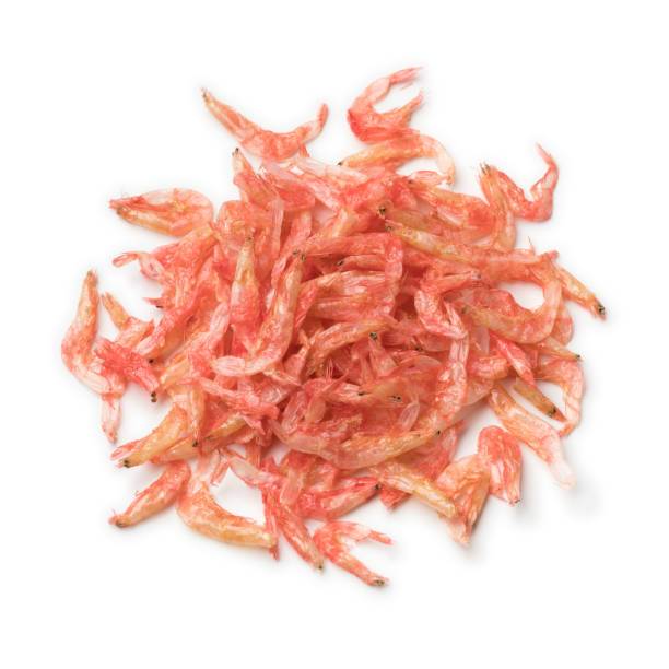 Ebi