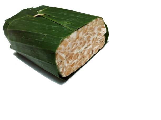 Tempe Daun