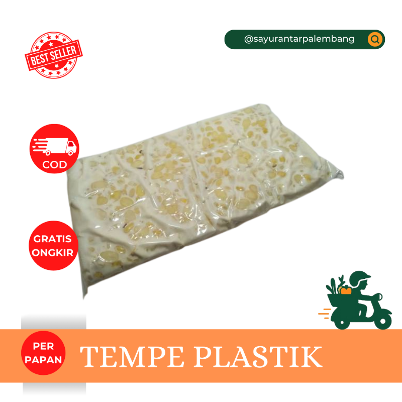 Tempe Plastik