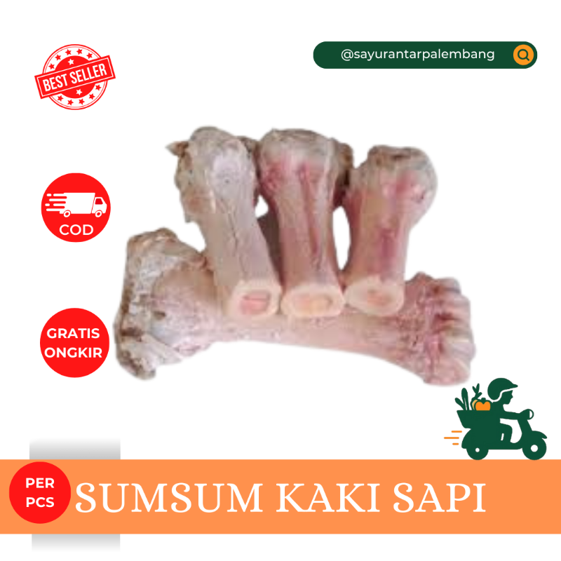 Sumsum Kaki Sapi