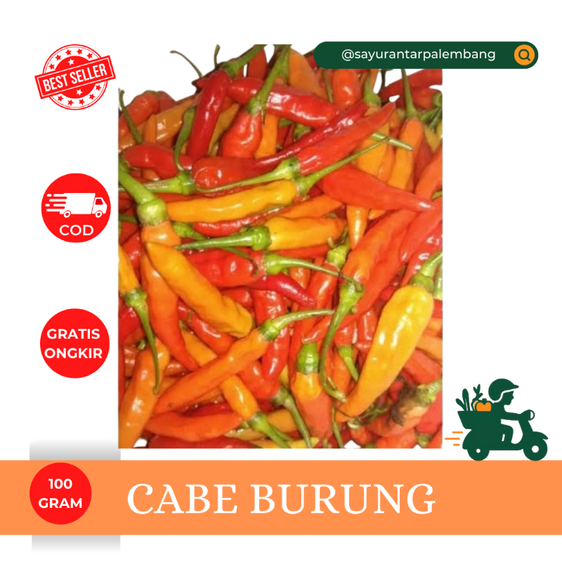 Cabe Burung