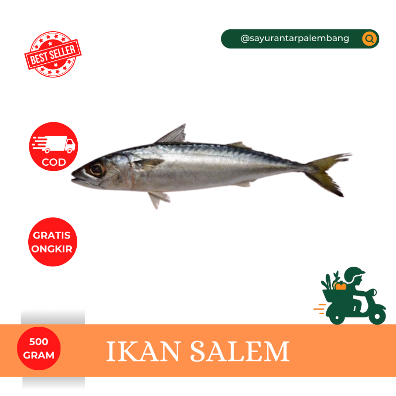 Ikan Salem